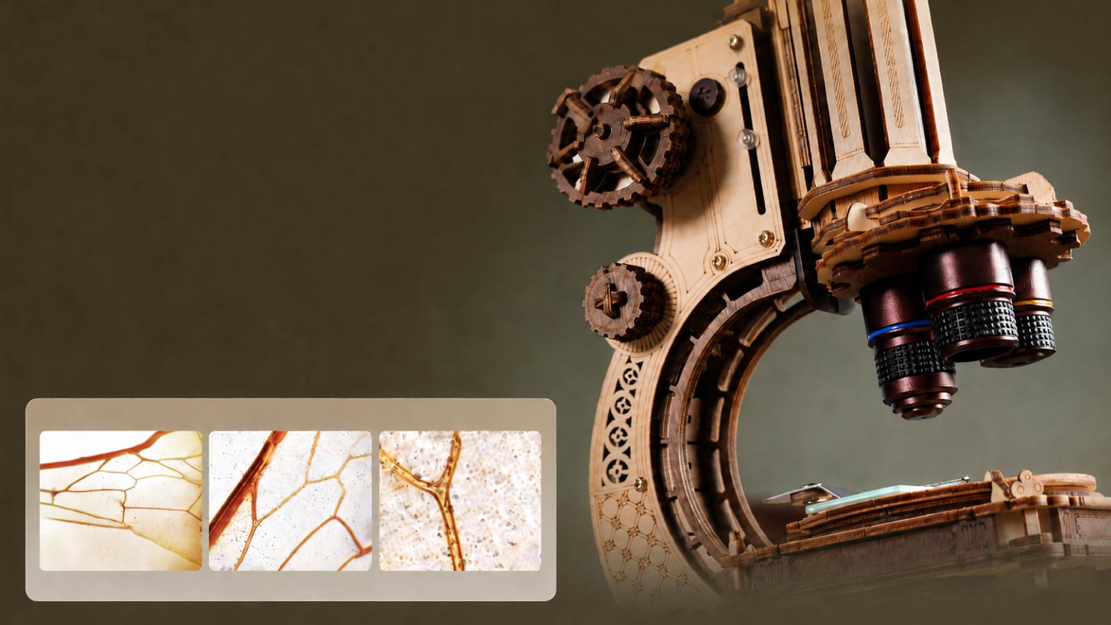 Microscope